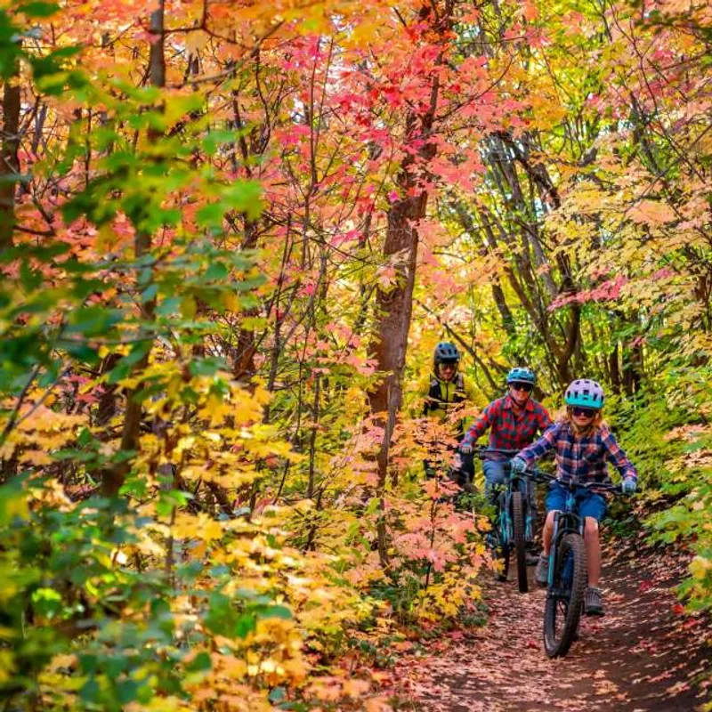 A family of mountain bikers ride through dense fall leaves in Park City