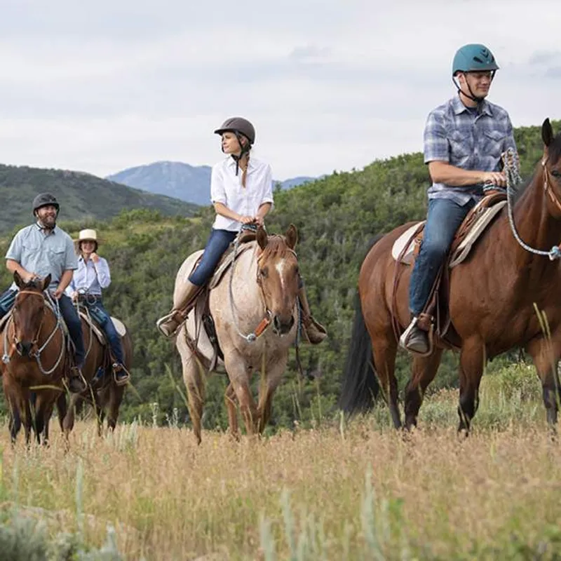 Horseback Riding
